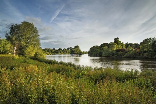 the-river-thames-at-richmond