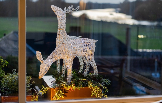 Reindeer-restaurant-window-2