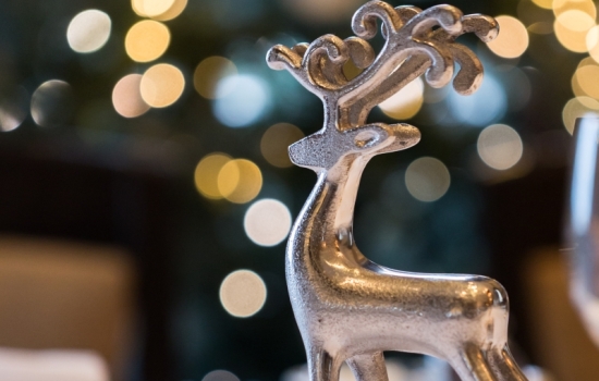 Reindeer