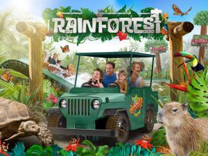 chessington-rainforest-e1579181783839