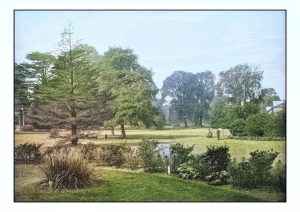 Antique London’s photographs: Kew Gardens